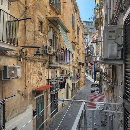 Smart's House Deluxe Spagnoli